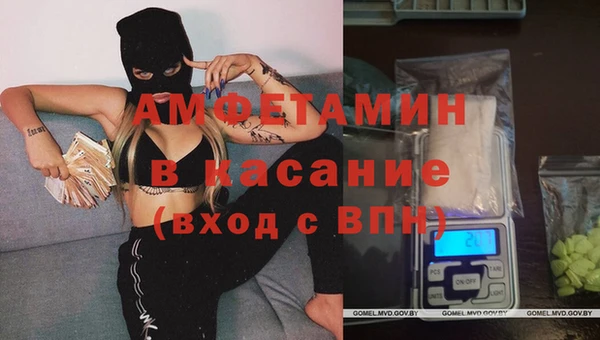 винт Алзамай