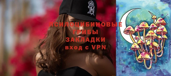 винт Алзамай