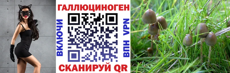 продажа наркотиков  Десногорск  Галлюциногенные грибы Psilocybine cubensis 